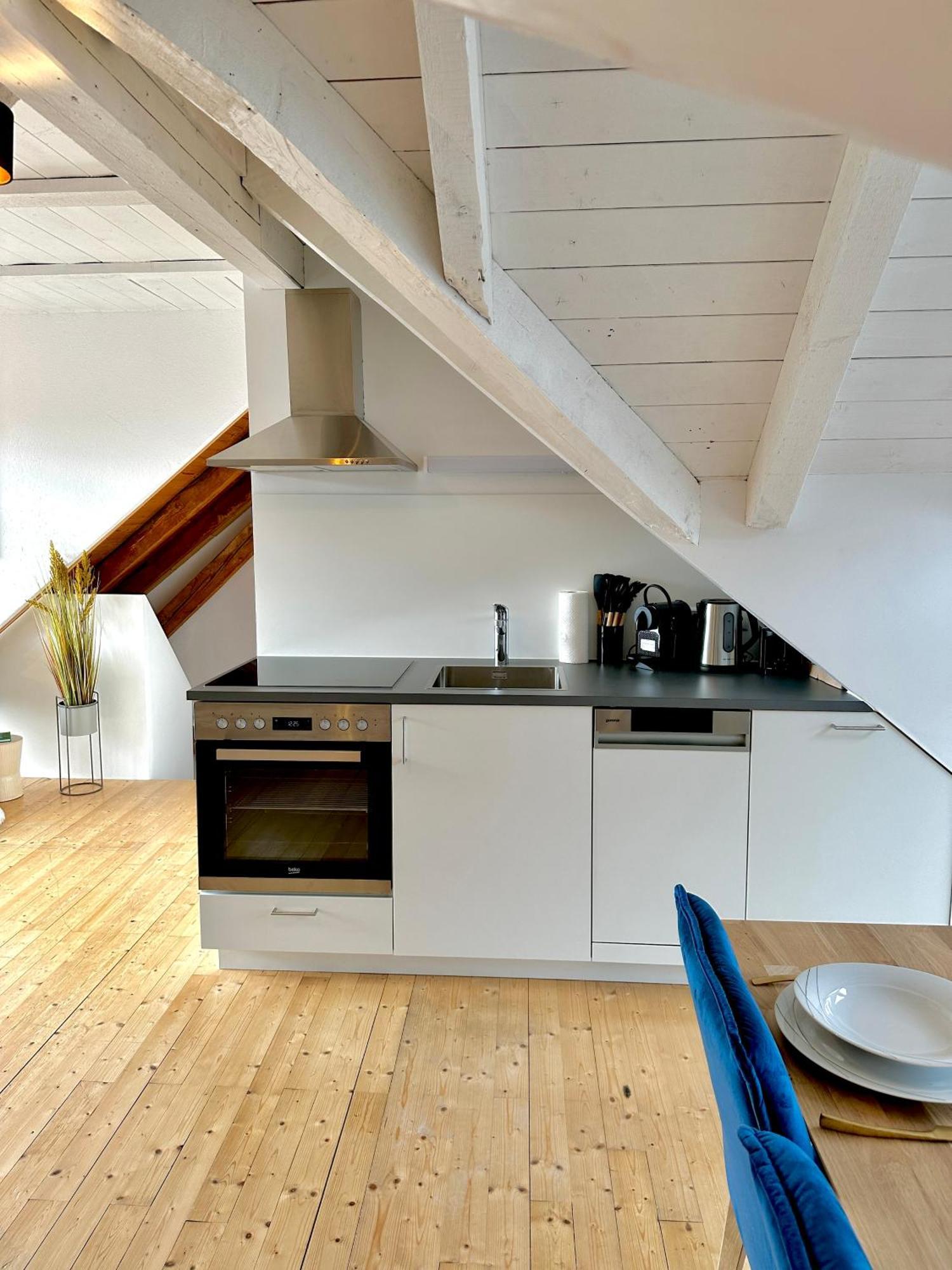 Zentrale Wohnung Mit Dachterasse Bregenz Dış mekan fotoğraf