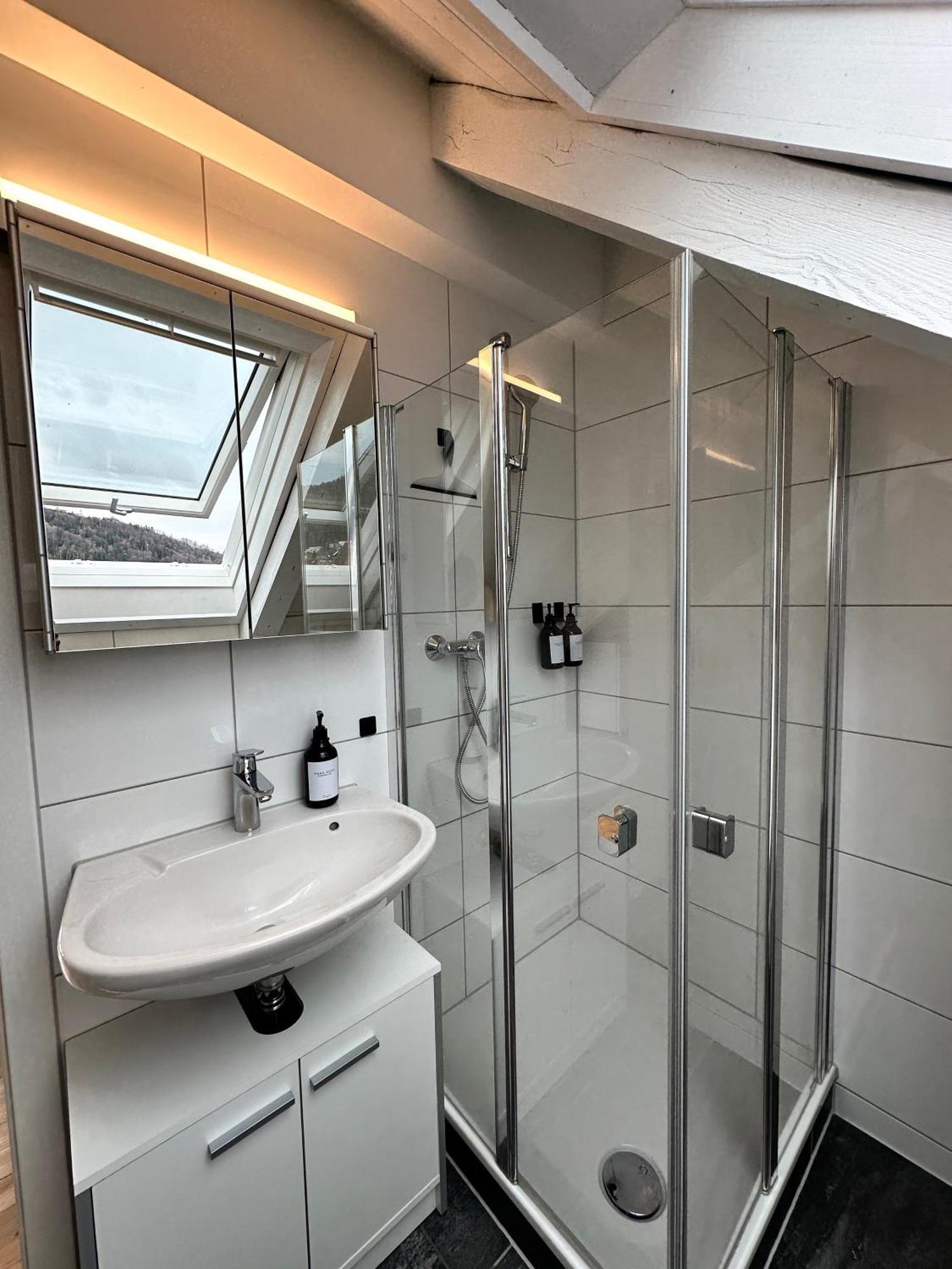 Zentrale Wohnung Mit Dachterasse Bregenz Dış mekan fotoğraf