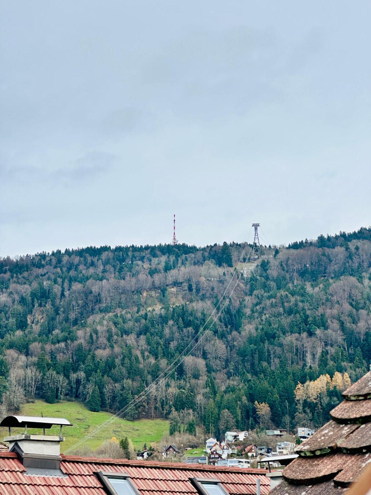 Zentrale Wohnung Mit Dachterasse Bregenz Dış mekan fotoğraf
